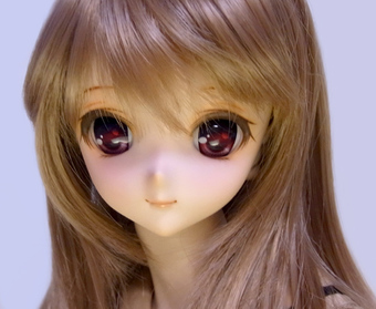 ds54-10a.jpg