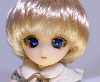 idfes28-pf01a.jpg