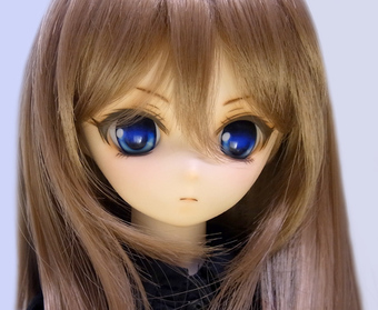 idfes29-ha01a2.jpg