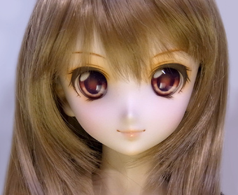 dp41-06a.jpg