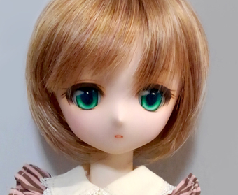 id56-01.jpg